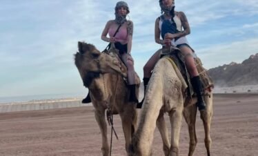 Desert Safari Sharm El Sheikh – 5-in-1 Adventure with Quad Biking, Camel Ride, Dinner & Stargazing