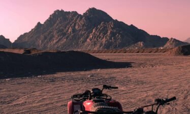 5-in-1 Safari Adventure: Quad Biking, Camel Ride, Show, Dinner & Stargazing