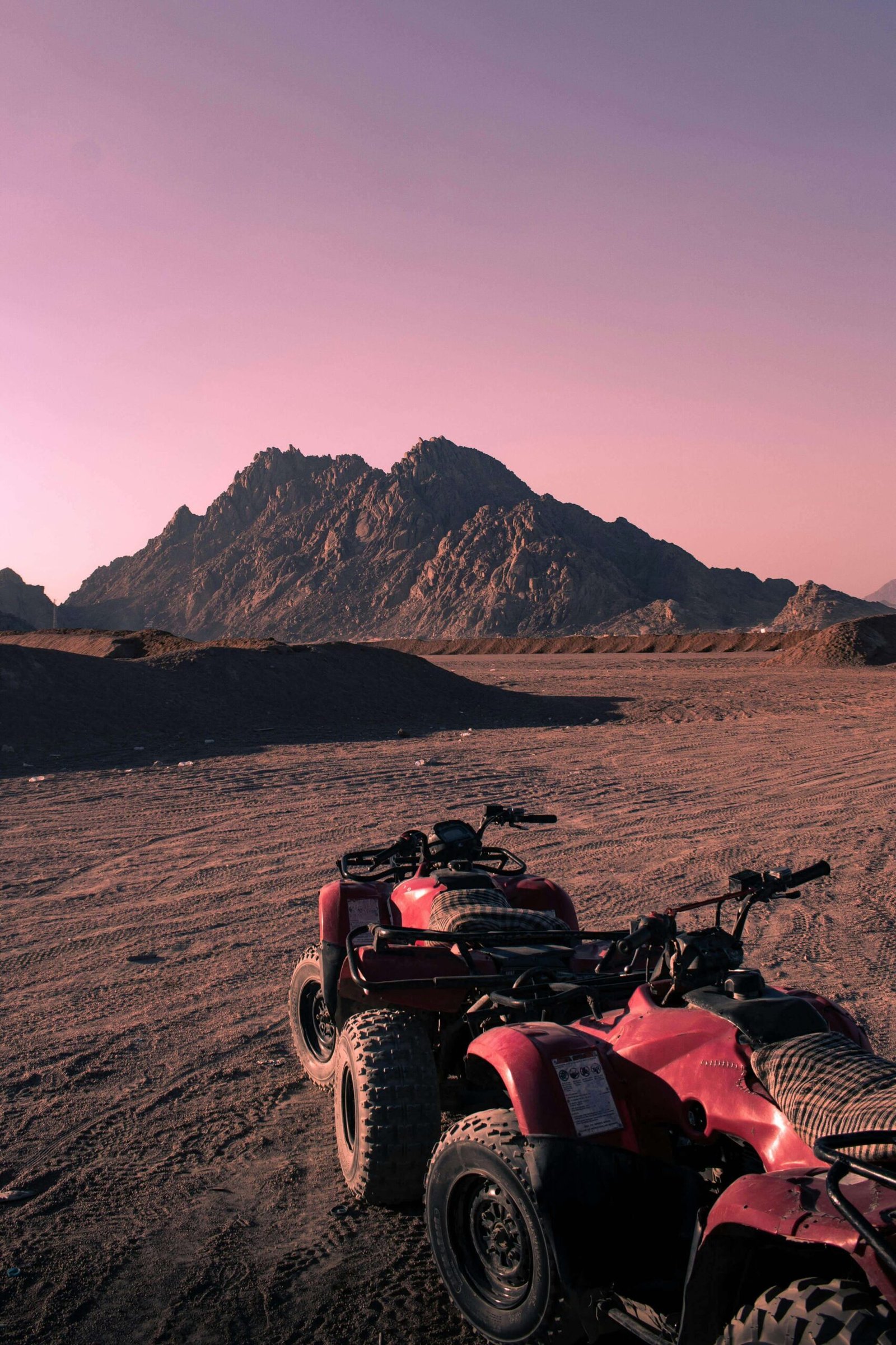 5-in-1 Safari Adventure: Quad Biking, Camel Ride, Show, Dinner & Stargazing