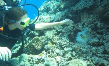 sea-trips hasabo travel