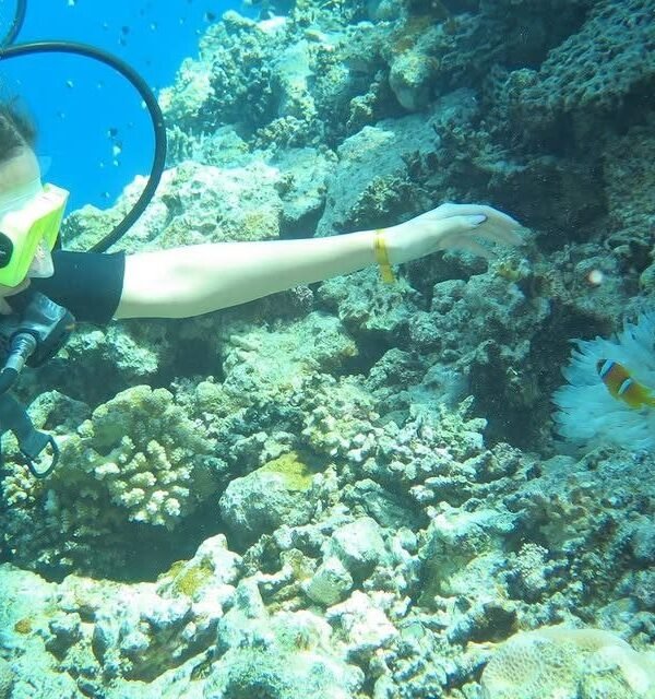 sea-trips hasabo travel