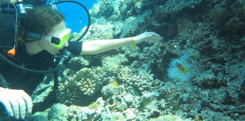 sea-trips hasabo travel