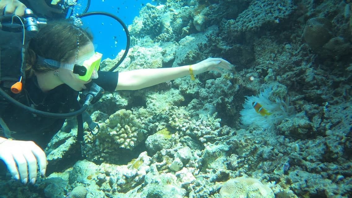 sea-trips hasabo travel