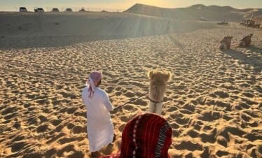 Safari 4 in 1 Camel, Show, Dinner & Stargazing