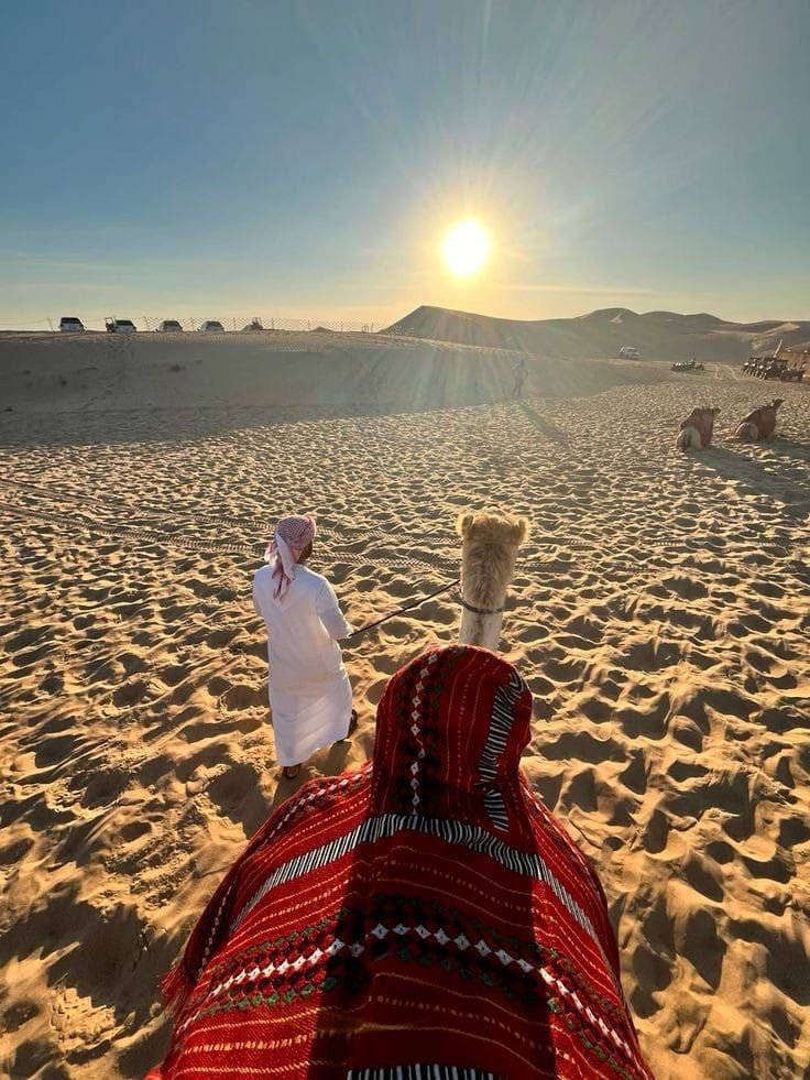 Safari 4 in 1 Camel, Show, Dinner & Stargazing