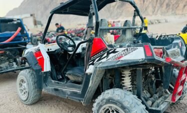 Tourists enjoying a 5-in-1 Safari Adventure in Sharm El Sheikh with buggy ride, Bedouin show, dinner, and stargazing.