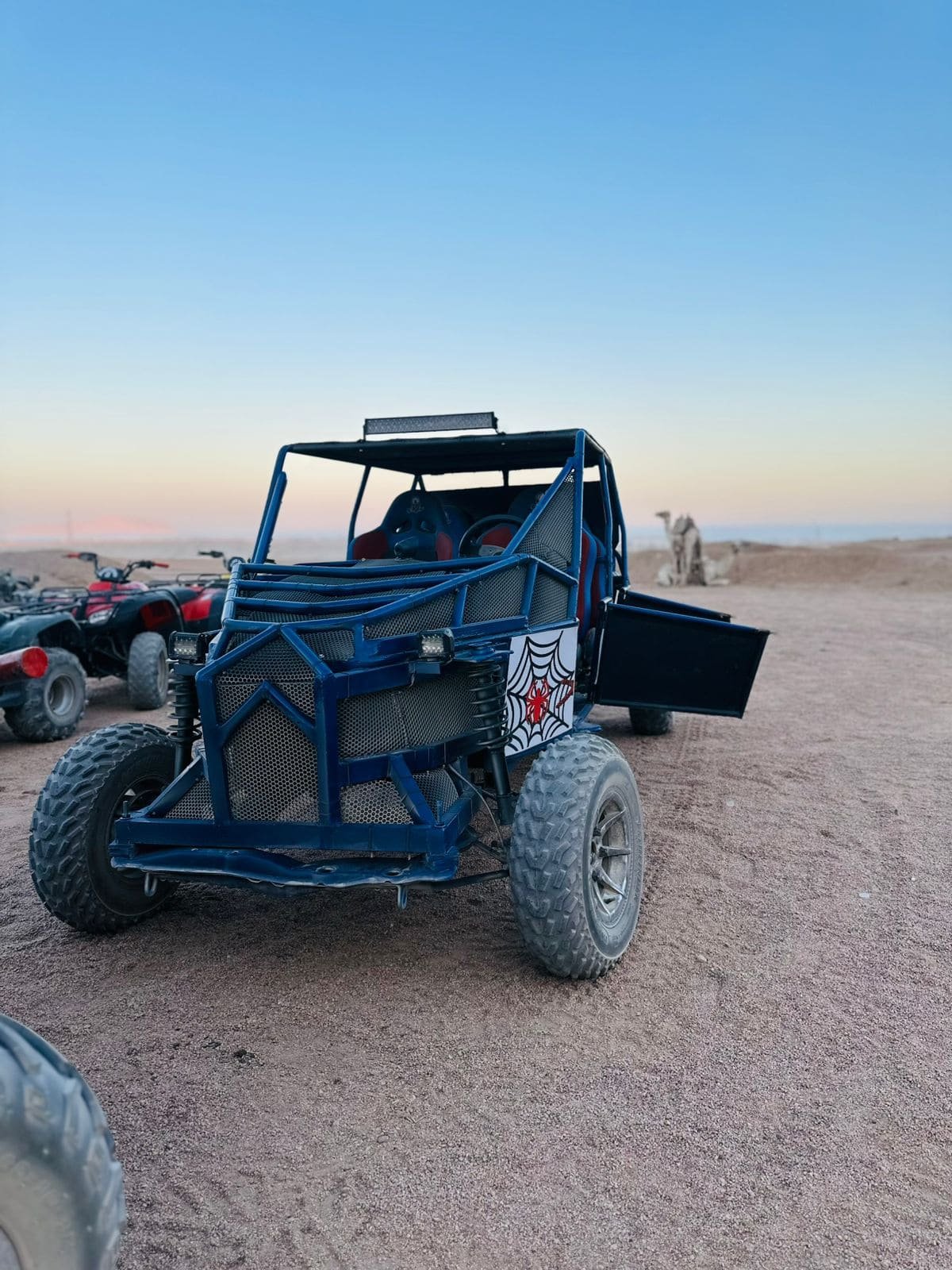 Tourists enjoying a 5-in-1 Safari Adventure in Sharm El Sheikh with buggy ride, Bedouin show, dinner, and stargazing. hasabo travel