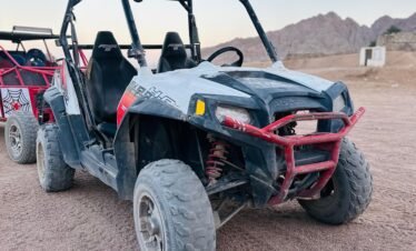 Tourists enjoying a 5-in-1 Safari Adventure in Sharm El Sheikh with buggy ride, Bedouin show, dinner, and stargazing. hasabo travel