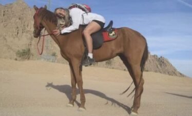 🐎 Horse Riding Sharm El Sheikh – Desert Safari Adventure