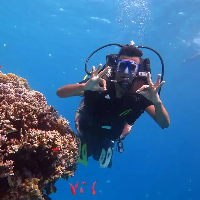Snorkel among colorful coral reefs and marine life at Ras Mohamed.