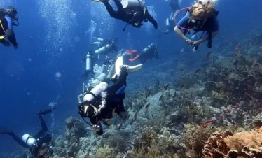 Snorkel among colorful coral reefs and marine life at Ras Mohamed.