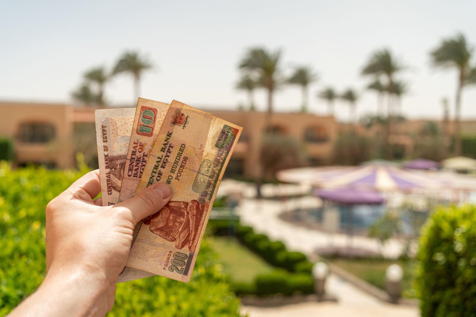 Money in Sharm El Sheikh: Everything Tourists Need to Know